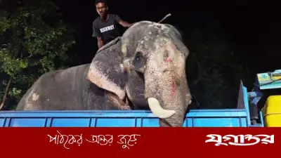 প্রধানমন্ত্রীর নির্দেশে অসুস্থ হাতি ‘বাদশা বাহাদুর’ জাতীয় চিড়িয়াখানায়