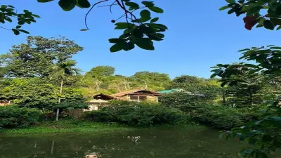 বর্ষায় শ্রীমঙ্গলের শান্তিবাড়ি ইকো রিসোর্টে বৃষ্টিবিলাসের অভিজ্ঞতা
