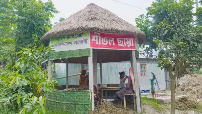 হাঁসফাঁস গরমে স্বস্তি দিচ্ছে ‘শীতল ছায়া’; নিউইয়র্কে বন্দুক হামলায় ৪ শিশুসহ ৮ গুলিবিদ্ধ