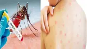 ১৩ মিনিটে ৩ গোল! ইতিহাস গড়ে কোয়ার্টার ফাইনালে মেসিরা