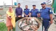 সোনারগাঁওয়ে অভিযানে ২৫ কেজি পিরানহা মাছ জব্দ, সিটিটিসি ও অ্যান্টি টেরোরিজম ইউনিটের নাম পরিবর্তনের সিদ্ধান্ত