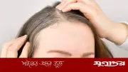 ৩০-এর আগেই চুলে পাক? অকালপক্বতা রুখতে ব্যবহার করুন এই ৫ তেলের মিশ্রণ