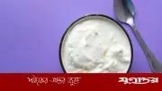টক দইয়ে চিনি-লবণ মেশালে কমে পুষ্টিগুণ, বিশেষজ্ঞের সতর্কবার্তা