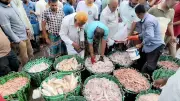 বাংলাদেশের নতুন শিক্ষানীতি: প্রাথমিক স্তরে মাতৃভাষায় শিক্ষা বাধ্যতামূলক