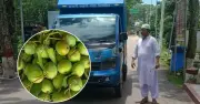 বাংলাদেশ থেকে ত্রিপুরার মুখ্যমন্ত্রীকে উপহার হিসেবে ৬০০ কেজি আম পাঠানো