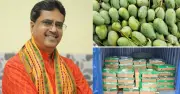 ত্রিপুরার মুখ্যমন্ত্রীর জন্য বাংলাদেশের আম্রপালি-হাঁড়িভাঙ্গা আম উপহার