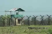 বিএসএফের পুশ-ইন চেষ্টা ব্যর্থ, বিজিবি ও স্থানীয়দের তৎপরতায় রাতভর উত্তেজনা