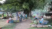 শতবর্ষী অলহা হাট: ঐতিহ্য হারানোর পথে মৌলভীবাজারের প্রাচীন বাজার