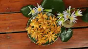 বৃষ্টির বিকেলে শাপলা ফুলের মচমচে ভাজা রেসিপি
