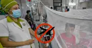 দেশে ডেঙ্গু আক্রান্ত ৭ হাজার ছাড়িয়েছে, নতুন করে ১৯৬ জন হাসপাতালে