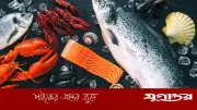 কিডনি ভালো রাখতে মাছের উপকারিতা: ওমেগা-৩ ফ্যাটি অ্যাসিডের ভূমিকা