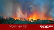 তাপপ্রবাহে বিপর্যস্ত ফ্রান্স, দাবানলে পুড়ছে বনাঞ্চল: ২ হাজার মৃত্যু