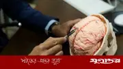 ইরানের নিউরন দিয়ে কৃত্রিম মস্তিষ্ক তৈরির দাবি, শিখতে সক্ষম