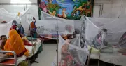 ডেঙ্গুতে আরও একজনের মৃত্যু, হাসপাতালে ১৬৩ নতুন রোগী