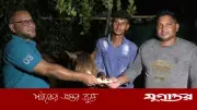 অন্ধ ঘোড়াকে আশ্রয় দেওয়া কলেজছাত্রের পাশে প্রধানমন্ত্রী তারেক রহমান