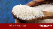 ওজন কমাতে ইসবগুলের জাদুকরি টিপস: সঠিক নিয়ম ও সতর্কতা