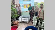রূপনগরে অভিযান, ১১০৪ বিদেশি বন্যপ্রাণী উদ্ধার