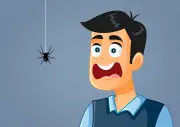 মাকড়সার ভয়: আদিম প্রতিরক্ষা ব্যবস্থা যা আমাদের ডিএনএতে গেঁথে আছে