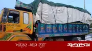 পায়রা সেতুতে ঘুসের অভিযোগে টোলকর্মী চাকরিচ্যুত, ট্রাকচালক জরিমানা